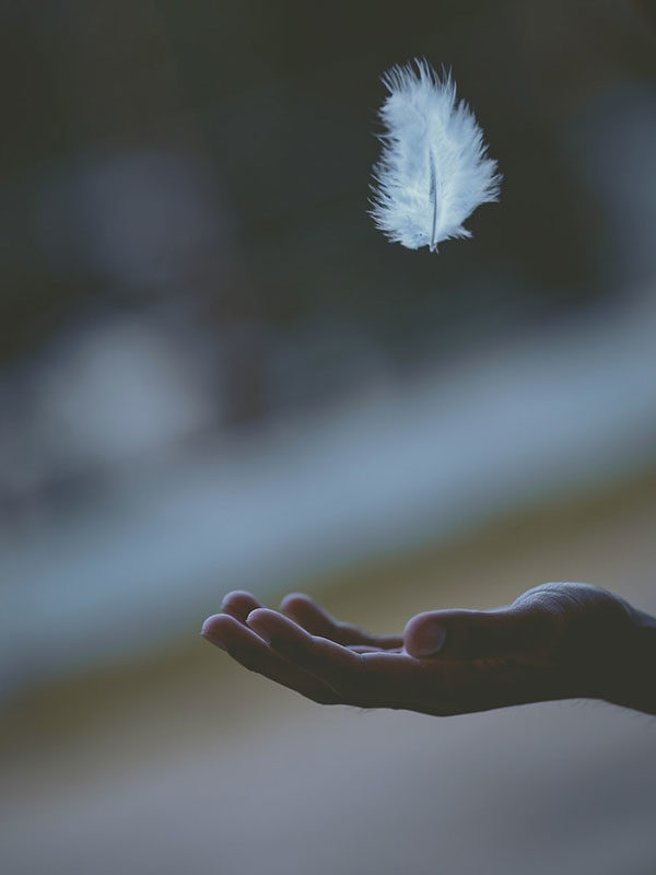 Especialistas en Pluma Duvet